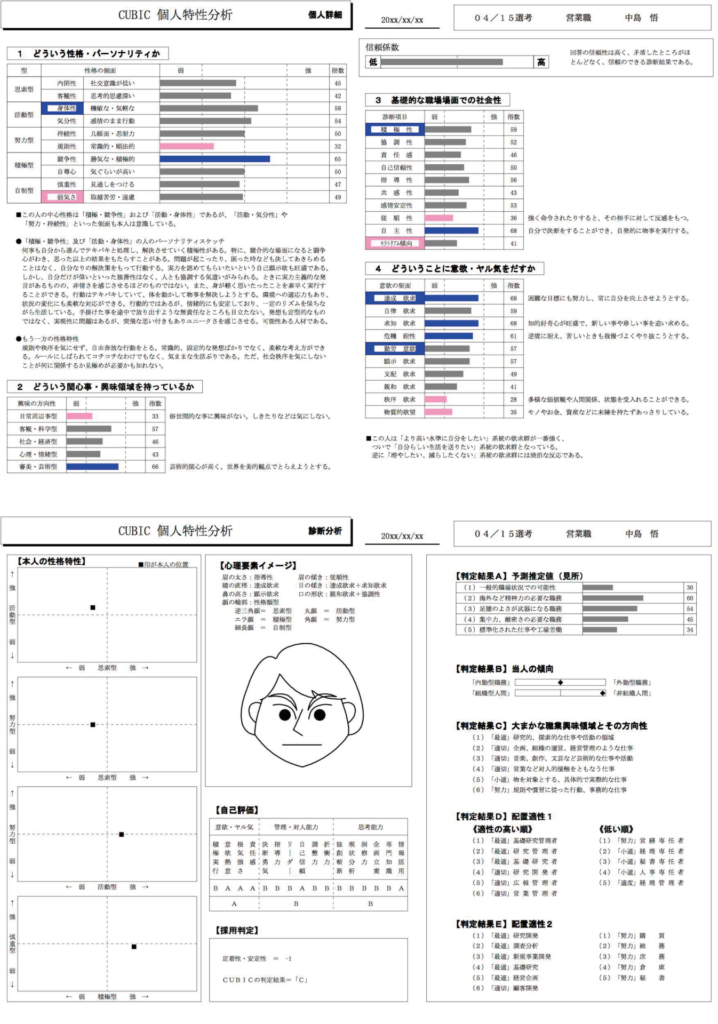 CUBICの性格診断（個人特性分析）の結果サンプル